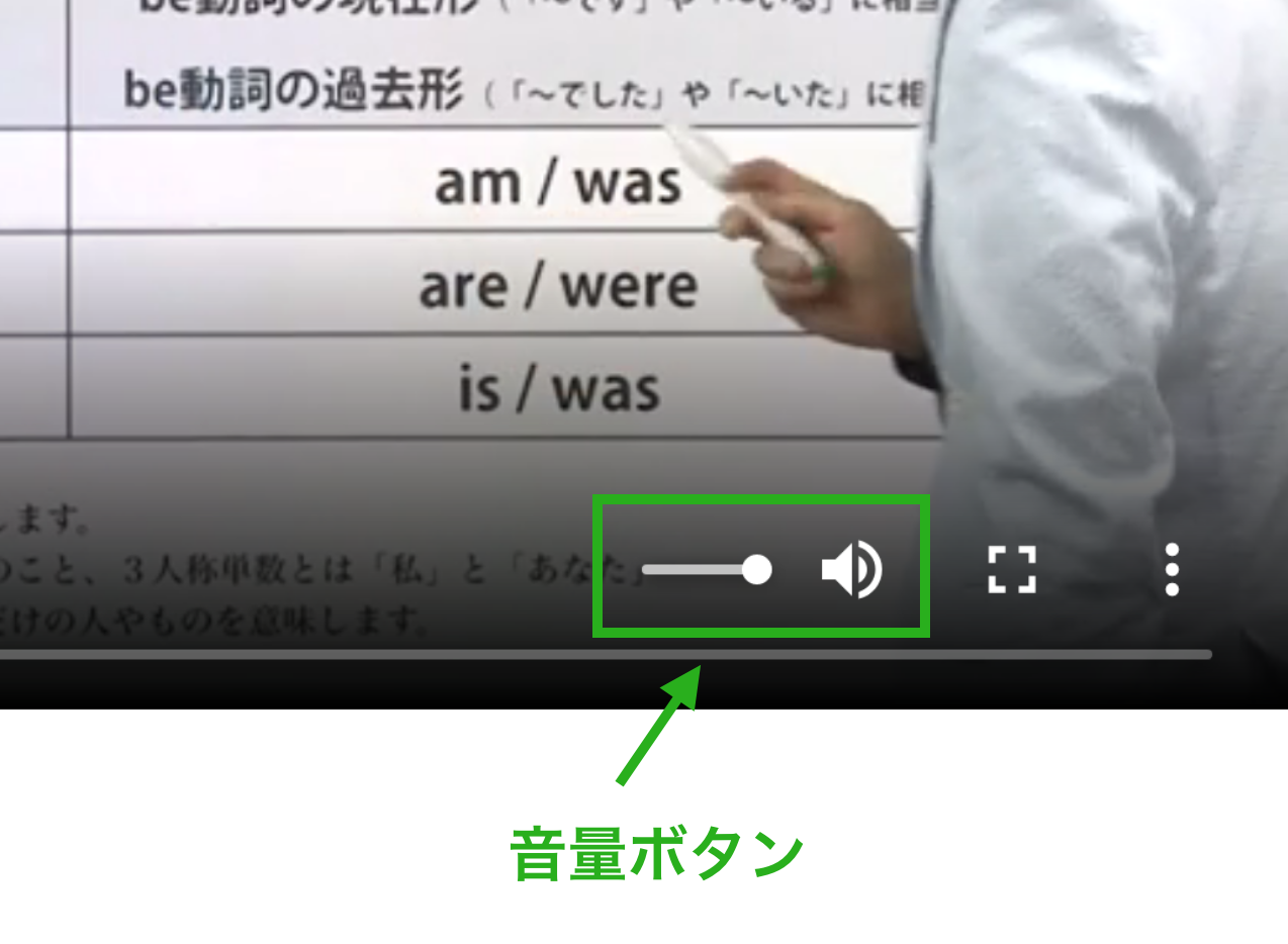 動画画面の音量ボタン